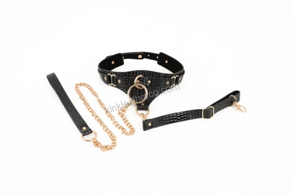 Collar and Leash Set - SYBTS0042-022